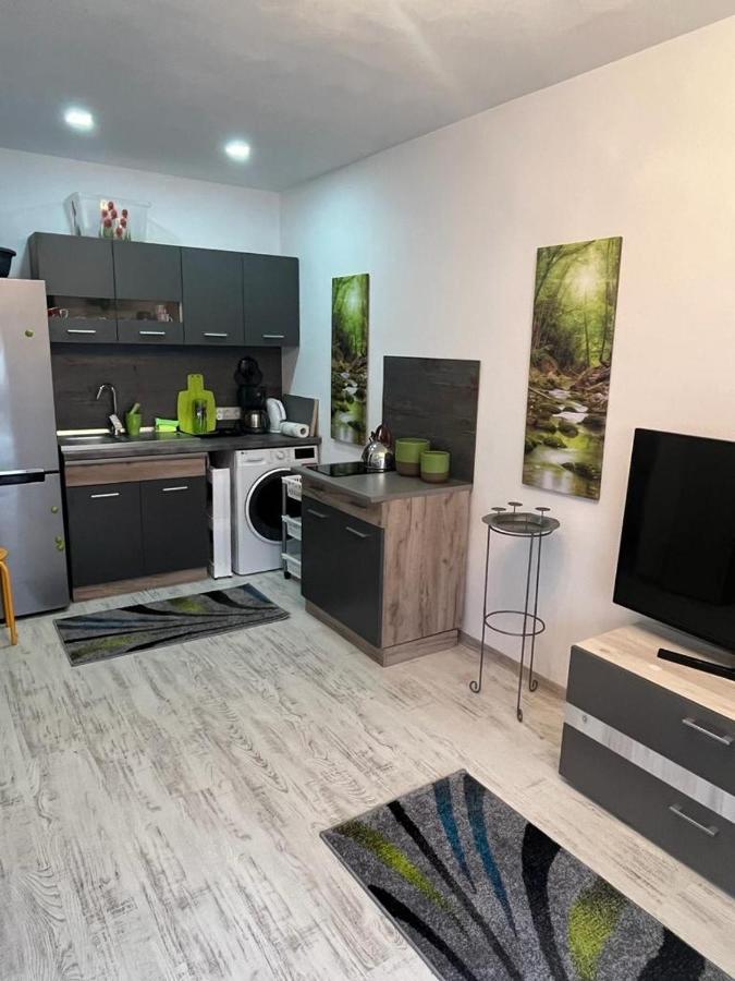 Apartament Acasa Sf.Gheorghe Sfântu-Gheorghe Exterior foto