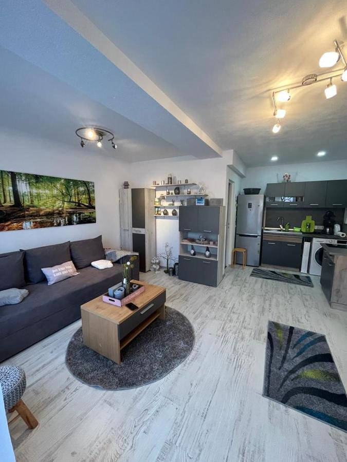 Apartament Acasa Sf.Gheorghe Sfântu-Gheorghe Exterior foto